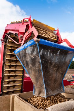 Bir otomatik patates hasat