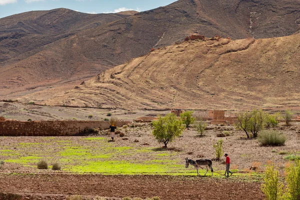 Agricultor en Marruecos rural — Foto de Stock