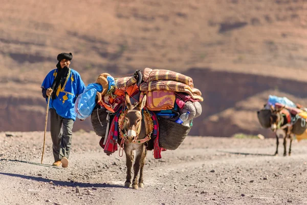 Ezels gebruikt om te vervoeren van Bagage — Stockfoto