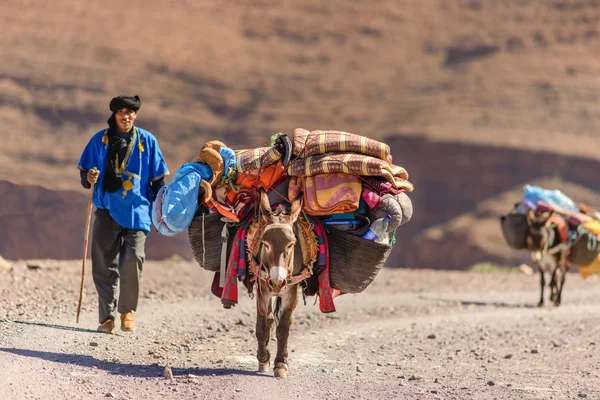 Donkeys used to carry luggage — Stock Photo, Image