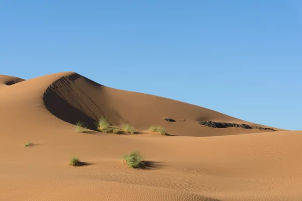 Dunes de sable dans le désert du sahara — Photo