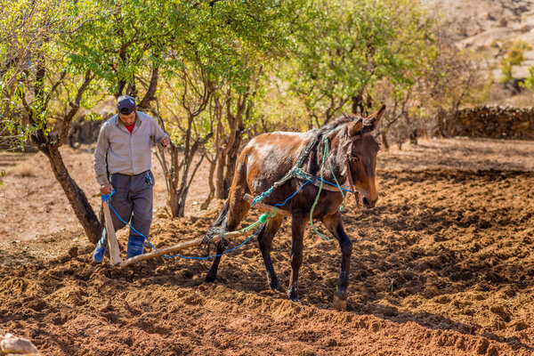Farmer working a small plot of land