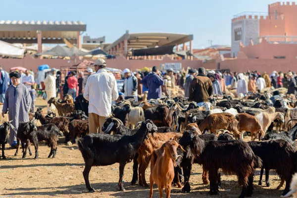 Ziegen zum Verkauf auf dem Wochenmarkt — Stockfoto