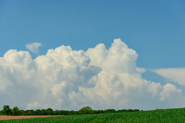 Cumulus Nuvens contra um céu azul — Fotografia de Stock