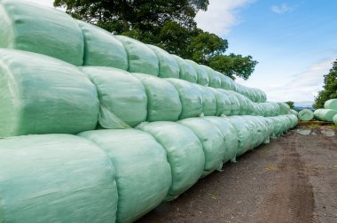 Bales of haylage wrapped in plastic clipart