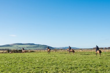 Horses being exercised