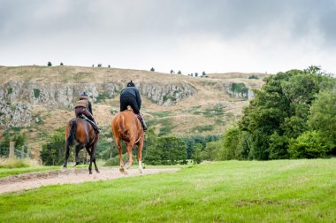 Racehorses yokuş yukarı eğitim