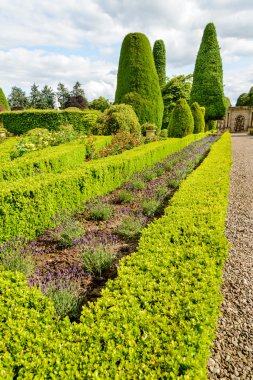 Drummond Castle and Gardens clipart