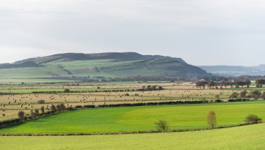 Picturesque view of Perthshire farmland