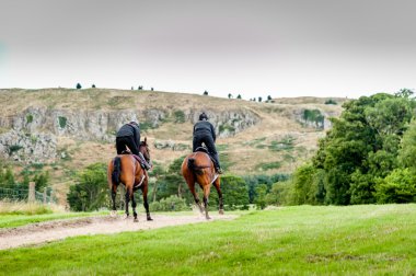 Racehorses in training uphill clipart