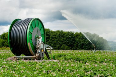 Automated potato irrigation clipart