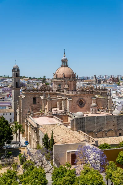 Katedralen san Salvador — Stockfoto