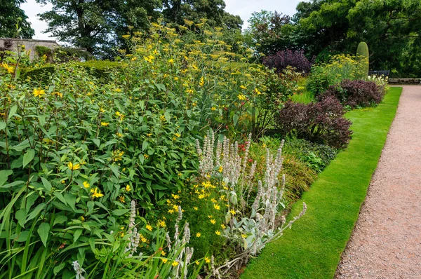 Trädgård med blommor och väg — Stockfoto