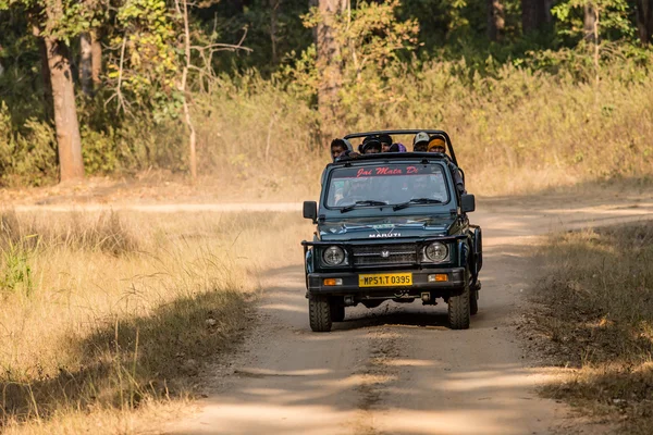 Safari v národním parku Kanha — Stock fotografie