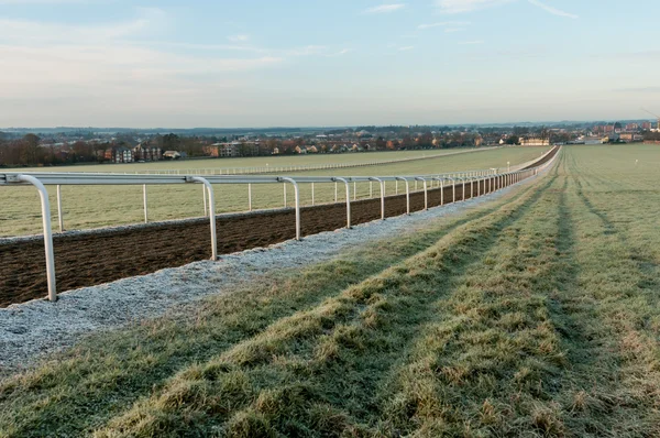 Pferdetraining Sandstraße — Stockfoto