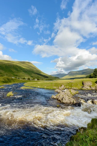 Pubil e líon fluvial — Fotografia de Stock