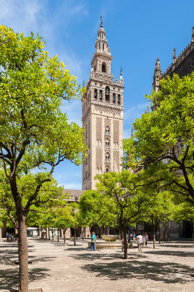 Kilátás nyílik a Giralda harangtorony — Stock Fotó