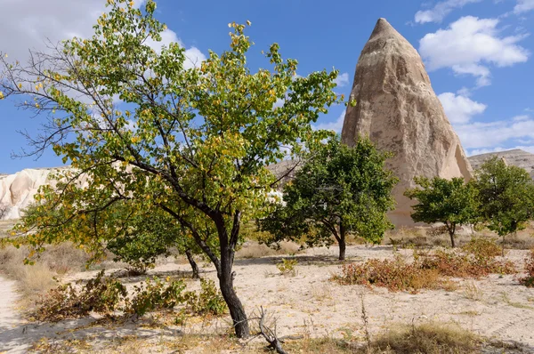 Formación rocosa y olivos — Foto de Stock