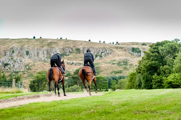 Caballos de carreras en entrenamiento cuesta arriba — Foto de Stock