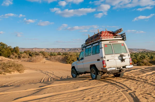 Woestijn safari voertuig — Stockfoto
