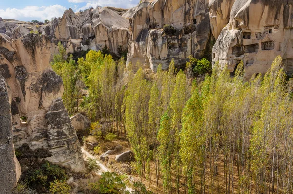 Живописная скалистая долина — стоковое фото