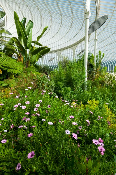 Das Gewächshaus des Kibble Palace — Stockfoto