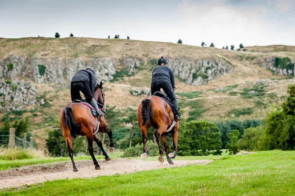 Caballos de carreras en entrenamiento cuesta arriba —  Fotos de Stock