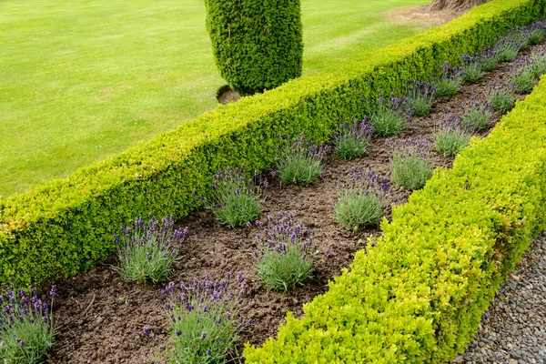 Drummond Schloss und Gärten — Stockfoto