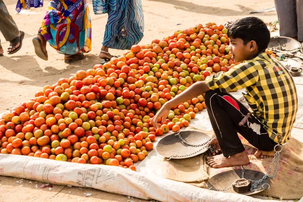 En pojke säljer tomater — Stockfoto