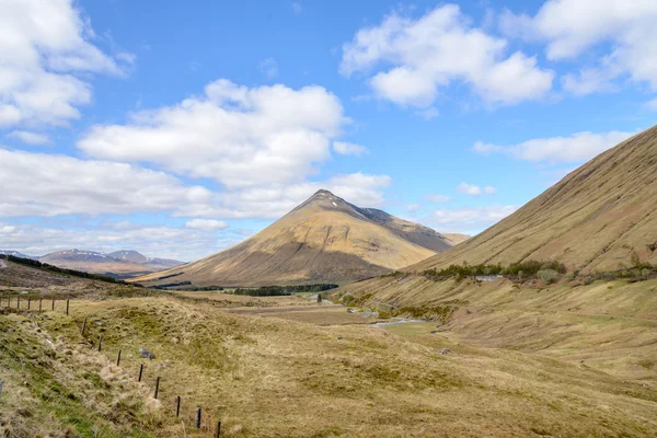 West highland způsob — Stock fotografie