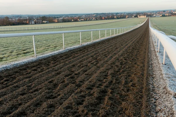 Carreras de caballos entrenando galopes — Foto de Stock