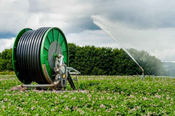 Automated potato irrigation — Stock Photo, Image