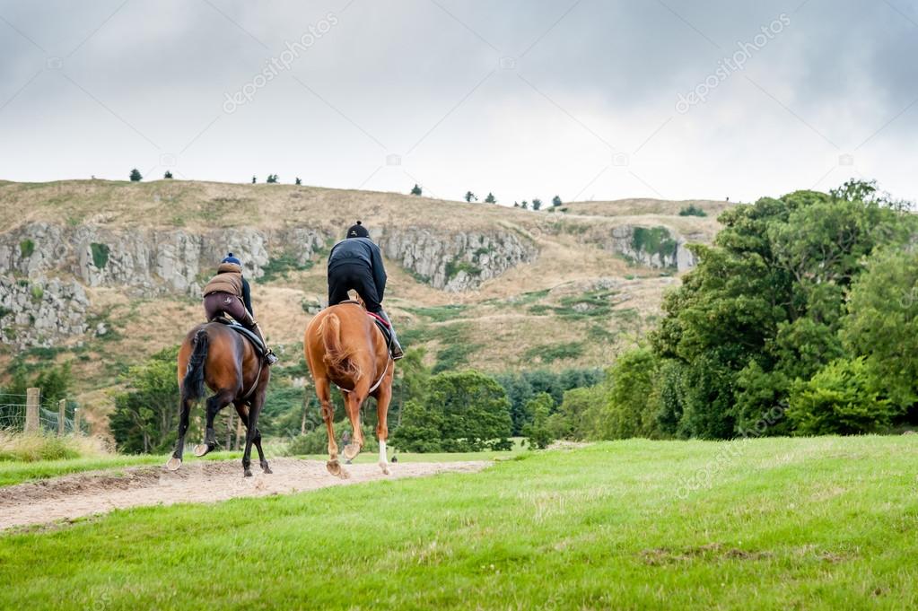 Racehorses in training uphill