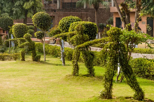 Cifras de cobertura topográficas —  Fotos de Stock