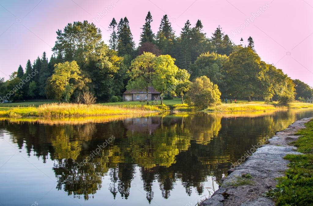 Enchanted Woods in Ireland Stock Photo by ©JohnAndPnny 101355380