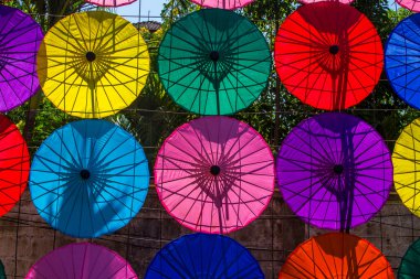 Renkli Asya şemsiye veya şemsiye.
