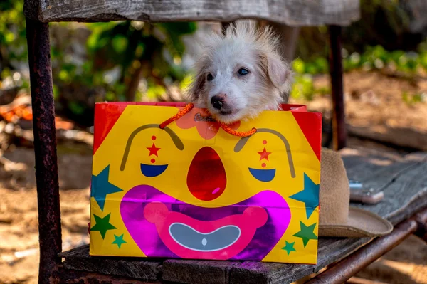 Noel alışveriş çantası.