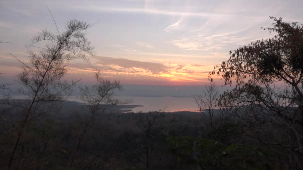 Dawn chorus at Kanchanaburi Thailand. — Stock Video