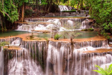 Ormanda güzel bir şelale.