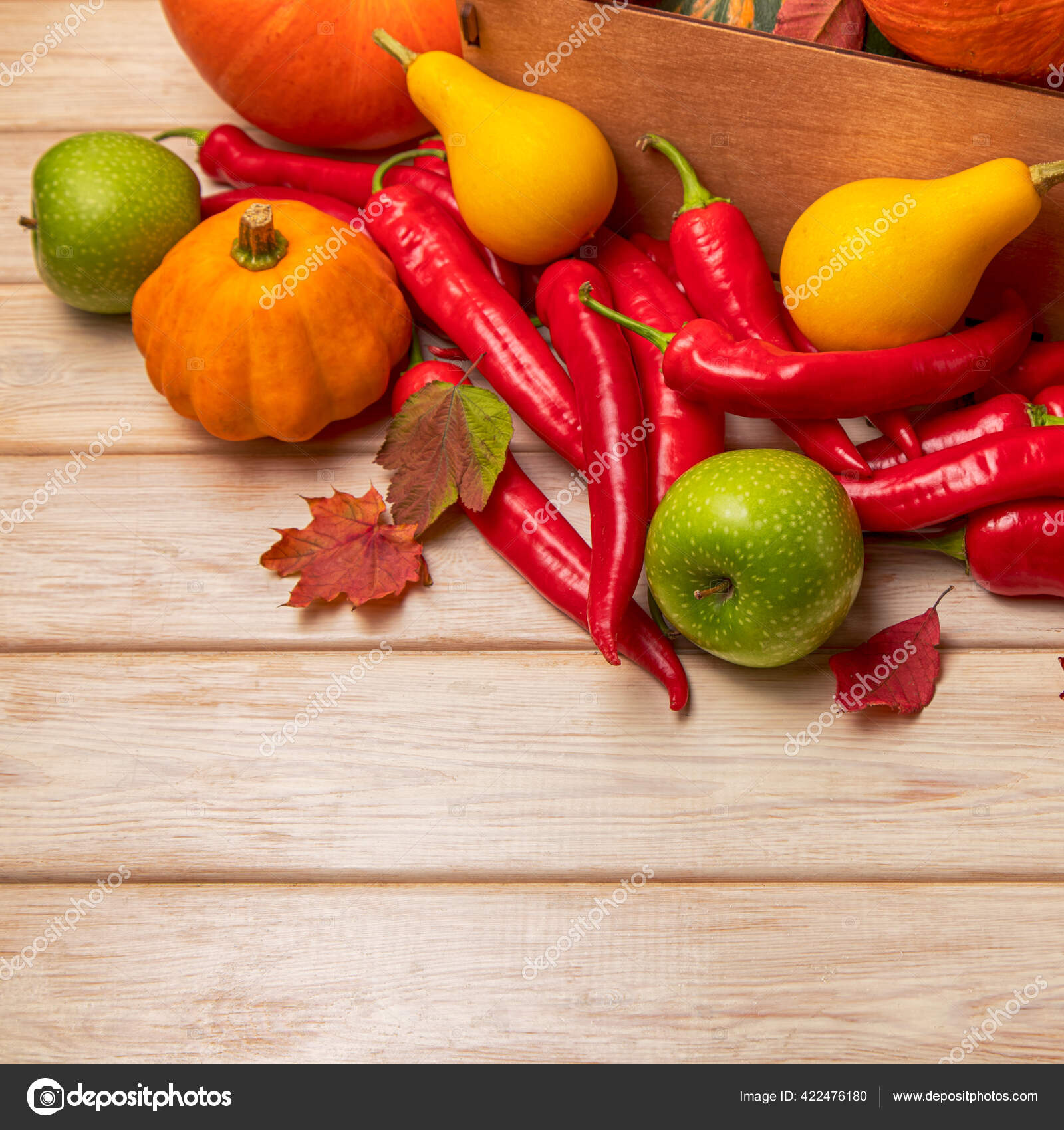 黄色のカボチャと秋の背景 カボチャ 赤唐辛子 緑のリンゴとソーシャルメディアのための秋の葉 コピースペース ストック写真 C Tasipas