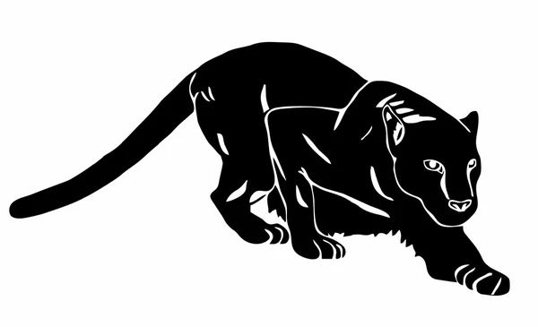 Black Panther sluipt — Stockfoto