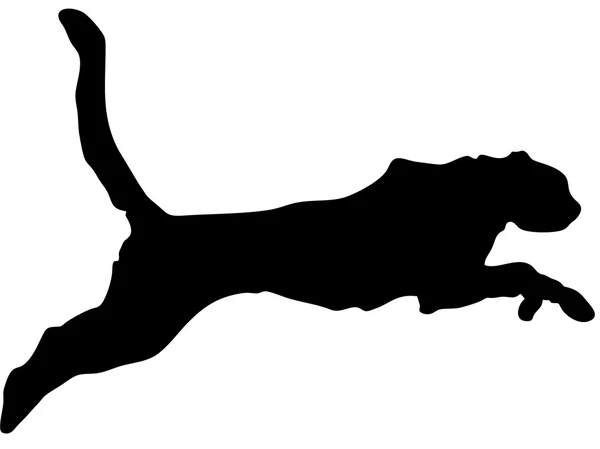 Jumping Gepard silhouette — Stock Photo, Image