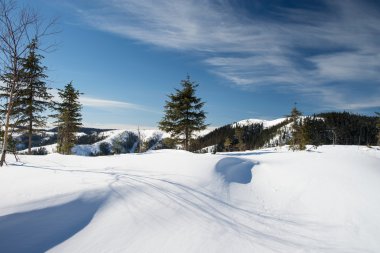 Dağlarda kış ormanı.