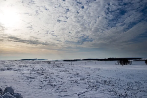 Lente in de steppe van de zuidelijke Oeral. — Stockfoto