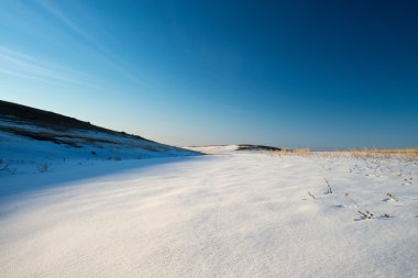 Güney Urallar bozkırlarında içinde bahar.