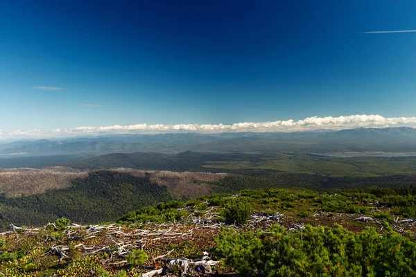 Amur Fluss vom Berg adzi — Stockfoto