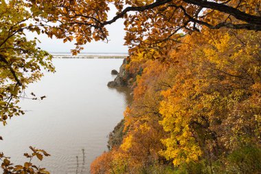 - Rusya. Khabarovsk bölgesi. Amur adında güzel bir nehir manzarası. Malmij ve Nergen köylerinin yakınlarındaki Amur Nehri. .