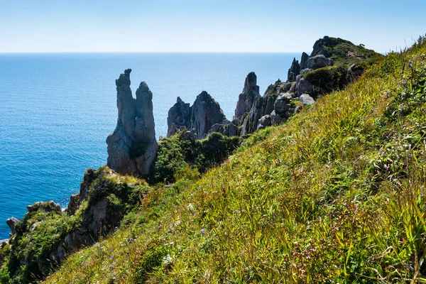 Russland Primorje Krai Umhang Nach Namen Lisuchenko — Stockfoto