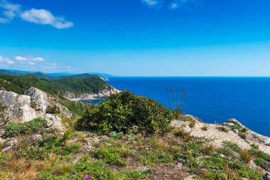 Rusya. Primorsky Krai. Cape Lisuchenko adıyla.