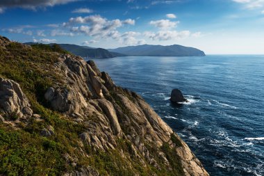Bay Krakovka adıyla güzel görünüm.